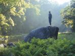 taman-nasional-silent-valley_20180717_131024.jpg