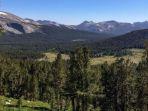 taman-nasional-yosemitenps.jpg