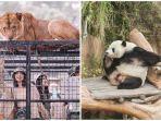 taman-safari-bogor-1.jpg