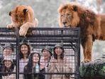 taman-safari-cisarua-bogor.jpg
