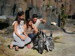 taman-safari-indonesia-ii-jawa-timur.jpg