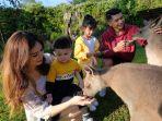 taman-safari-prigen-safari-park.jpg