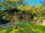 taman-safari-prigen-satwa.jpg