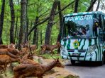 taman-safari-prigen_20180312_124610.jpg
