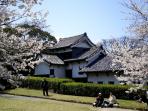 taman-sakura_20160804_193728.jpg