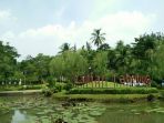 taman-tabebuya_20170427_105027.jpg
