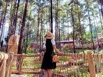 tanaria-park-tempat-wisata-di-pasuruan-hutan-pinus.jpg