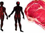tanda-bahwa-tubuh-mungkin-tidak-mencerna-daging-dengan-baik.jpg