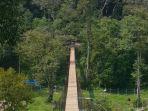 tangkahan-langkat-sumatera-utara.jpg