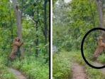 tangkap-layar-video-viral-1.jpg