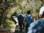 tanjung-puting_20160906_125947.jpg