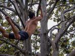 tarzan-barcelona-buka-kelas-panjat-pohon.jpg