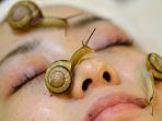 teknik-perawatan-dengan-siput.jpg
