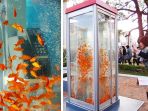 telepon-umum-kolam-ikan_20171203_205414.jpg