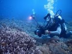 teluk-buyat_20181004_151929.jpg