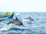 teluk-kiluan_20171229_110516.jpg