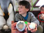 telur-penguin_20170522_165937.jpg