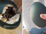 Beli Sebuah Telur di eBay, Wanita Ini Merawatnya Hingga Menetas dan Lihat Hewan Apa yang Keluar