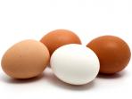telur_20161030_162902.jpg