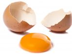 telur_20170108_151824.jpg