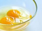 telur_20171231_111530.jpg