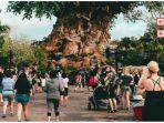 tempat-wisata-di-amerika-serikat-walt-disney-worlds-animal-kingdom.jpg