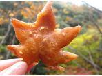 tempura-daun-maple-atau-momiji-camilan-khas-dari-kota-minoh-osaka-jepang.jpg