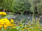 tenway-eco-leisure-farm-taiwan_20160913_230003.jpg