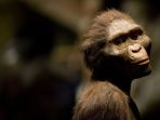 teori-evolusi_20171109_202004.jpg