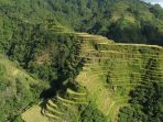 teras-sawah-banaue_20180504_173653.jpg