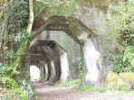 terowongan-hakkaku-di-jepang.jpg