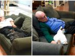 terry-laurman-facebook-safe-haven-pet-sanctuary-inc_20180925_094128.jpg