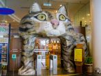 the-cat-museum_20180205_173600.jpg