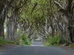 the-dark-hedges_20180106_151146.jpg