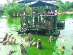 the-elephant-kingdom-chonburi-thailand_20180408_100249.jpg