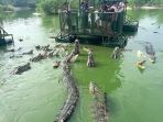 the-elephant-kingdom-di-chonburi-thailand_20170320_220749.jpg