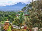 the-farm-bogor.jpg