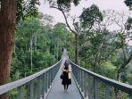 the-habitat-penang-hill-penang-malaysia.jpg