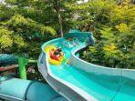 the-jungle-bogor.jpg