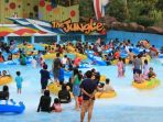 the-jungle_20180605_091926.jpg