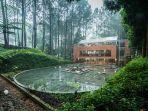 the-lake-house.jpg