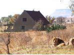 the-lion-house.jpg
