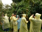 the-persimmon-brother-farm_20170928_194823.jpg