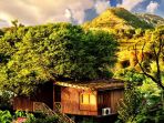 the-tree-house-resort_20180718_150530.jpg