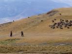 tibet_20160923_133442.jpg