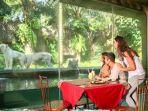 tiger-cave-restaurant.jpg
