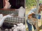 Fiuh! 6 Foto Ini Bikin Geregetan Sekaligus Bergidik Ngeri, 'Kok Nggak Dipikir Matang-matang Sih'