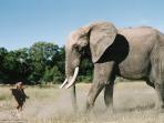 tippi_20161210_234326.jpg