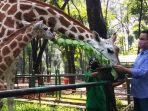 Harga Tiket Masuk Kebun Binatang Ragunan, Lengkap dengan Panduan Pesan Tiket dan Registrasi Online