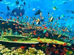 tn-komodo_20160802_230056.jpg